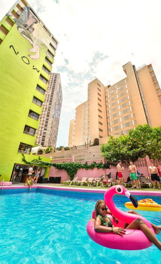 Now Benidorm Apartment Bagian luar foto